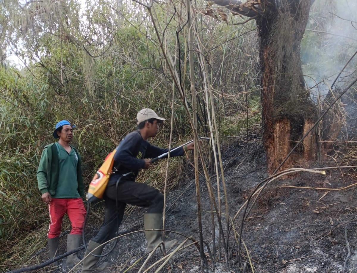 TN Bromo Tengger Semeru Kebakaran Lagi, Jalur Pendakian ke Ranu Kumbolo Ditutup. (Foto: TNBTS)
