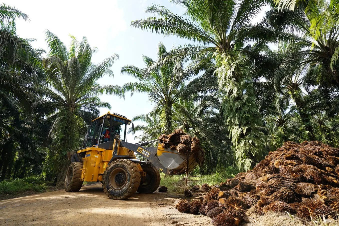 BWPT Buka Suara soal Kisruh Potensi Kerugian Rp11 Triliun FELDA Malaysia. (Foto: Eagle High)