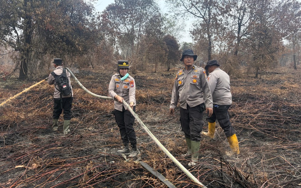 Karhutla Riau Mulai Terkendali