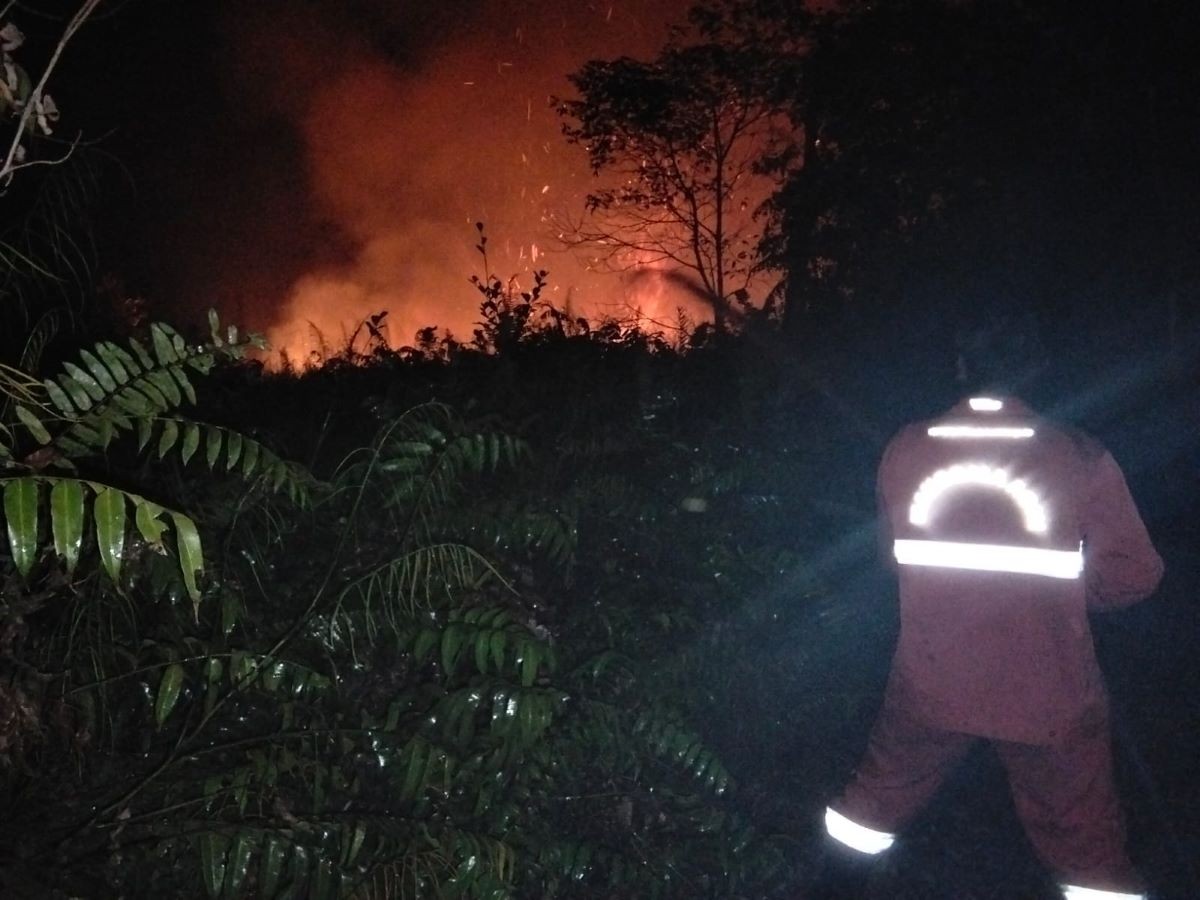Kemenhut Terkendala Aksesibilitas dan Pasokan Air saat Padamkan Karhutla di Kalimantan. (Foto: Dok. Kemenhut)