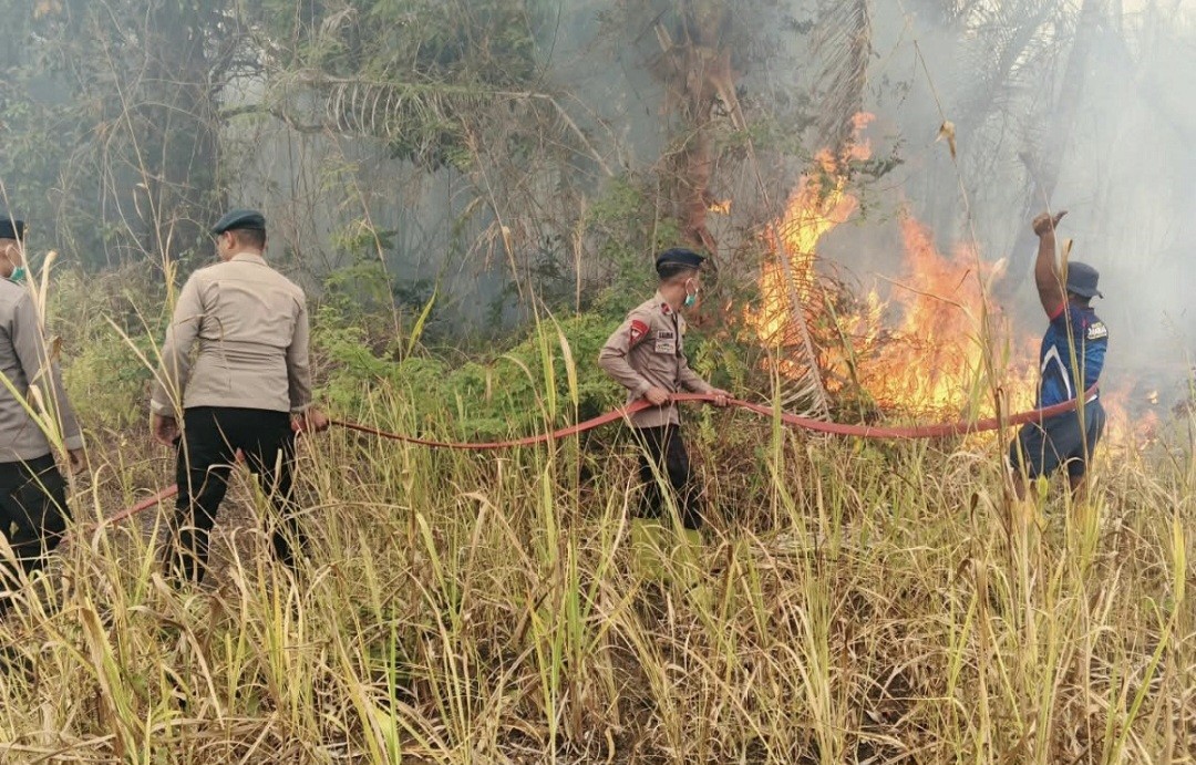 Prabowo Minta TNI-Polri Bantu Beri Pelatihan terhadap Polisi Hutan (FOTO:iNews Media Group)