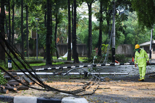 Hujan Lebat, Insiden Pohon Tumbang Terjadi di 22 Wilayah Jaksel (Foto: MNC Media)