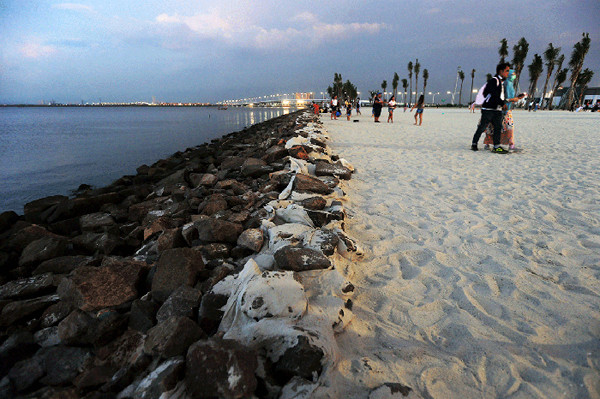 Walhi: Kalau Pemerintah Mau Laut Sehat, Daratnya Juga Dibenerin. (Foto MNC Media)
