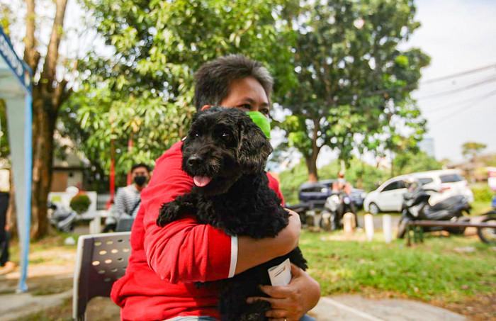 Kementan melakukan vaksinasi Rabies masal Anjing di Bali menyambung pelaksanaan Konferensi Tingkat Tinggi (KTT) G20.