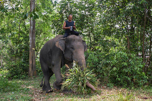 Prabowo Akan Bangun Konservasi Gajah di Aceh, Ini Alasannya (iNews Media Group)
