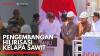 Pengembangan Hilirisasi Kelapa Sawit,(Sumber: IDX CHANNEL)