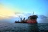Pelita Samudera Shipping (PSSI) Raih Pendapatan USD108,7 Juta di 2021(Dok.MNC)