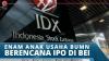 IPO BUMN