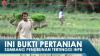 Ini Bukti Pertanian Sumbang Penurunan Tertinggi IHPB