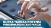 Kupas Tuntas Potensi Pengembangan Laku Pandai - OJK Update Part 3