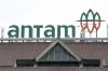 Copot Direksi Antam, Ini Alasan Bos Holding BUMN Tambang. (Foto: ist)