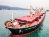 Kinerja Meningkat, Laba Transcoal Pacific Naik Jadi Rp265,50 Miliar. (Foto: Ist)
