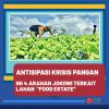 Ini 4 Arahan Jokowi soal Pembahasan Lahan Food Estate