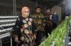 Pengangguran Bertambah, Kemnaker Siapkan Program Inkubasi Bisnis. (Foto: Ist)