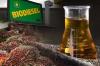 Minyak Jelantah Dinilai Bisa Topang Kebutuhan Biodiesel, Kok Bisa?  (FOTO: MNC Media)