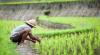 BPS Sebut Tingkat Pendidikan Petani Masih Rendah (FOTO:MNC Media)