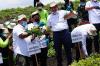 Panen Kentang, Luhut Puas Progres Pengembangan Food Estate Humbahas (FOTO: MNC Media)