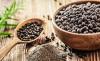 Ekspor Meningkat, Lampung Black Pepper Siap Dongkrak Devisa RI. (Foto: MNC Media)