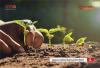 Wakaf Investasi Keabadian, Pahami Sejarah dan Manfaatnya. (Foto : MNC Media)