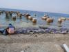 Geger Cairan Hitam di Pesisir Karawang, PHE Gerak Cepat Lakukan Pembersihan. (Foto: MNC Media)