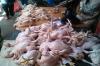 Nyaris Rp50 Ribu per Ekor, Harga Ayam Broiler Naik Jelang Nataru
