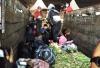 Demi Pulang Kampung, Pemudik Nekat Ini Bersembunyi di Balik Truk Sayur. (Foto: MNC Media)
