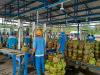 Stok LPG dipastikan aman jelang pergantian tahun (Ilustrasi)