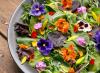 Bisa Kantongi Omset Puluhan Juta, Intip Cantiknya Bisnis Budidaya Edible Flower. (Foto: MNC media)