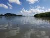 Antisipasi Perubahan Iklim, Jatim Kejar Target 34.000 Hektare Restorasi Mangrove (Dok.MNC Media)