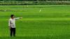 Kementan Akan Bangun Food Estate Berbasis Hortikultura di Pulau Jawa. (Foto: MNC Media)