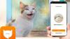 Aplikasi MeowTalk