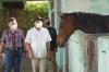 MenkopUKM Teten Masduki mengunjungi peternakan kuda pacu Gekbrong Stable di desa Titisan, Kecamatan Sukalarang Kabupaten Sukabumi. (Foto: Dokumen Kemenkop UKM)