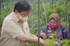 Airlangga Apresiasi Terobosan Pemda Kalsel, Bantu Isoman Covid-19 dengan Hasil Panen Petani (FOTO:MNC Media)
