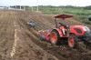 Panen Melimpah, Pemerintah Bakal Tambah 2000 Hektare Lahan di Food Estate Humbahas Sumut(Dok.Ist)