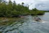 Kementerian KKP dan BLUD Kawasan Konservasi Daerah Raja Ampat menjajaki wisata budaya paus sperma. (Foto: MNC Media)