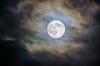 Waspada Banjir Rob Akibat Fenomena Bulan Purnama dan Super New Moon. (Foto MNC Media)