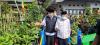 Tinjau Agrowisata Urban Farming Cicendo, Wapres Apresiasi Pemanfaatan Lahan Sempit (Dok.MNC Media)