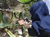 Tak Kalah dari Manusia, 5.000 Tanaman di Kebun Raya Bogor Punya KTP Digital (Dok.MNC Media)
