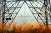 Bangun Tiga PLTMH di Sumut, Berikut Update dari Terregra Asia Energy (TGRA)  (Dok.MNC)