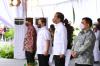 Berpotensi Besar, Jokowi Tekankan Pentingnya Hilirisasi dan Industrialisasi Kelapa Sawit