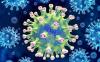 Muncul Virus BtSY2 Mirip Covid-19, Ini Penjelasan Satgas IDI. (Foto: MNC Media).