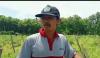 Berkah Dibalik Pedasnya Harga Cabai, Petani Bisa Bayar Utang: Untung Besar! (FOTO:MNC Media)