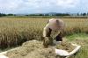 Serikat Tani: Perlu Reforma Agraria untuk Swasembada Pangan. ( Foto : MNC Media)
