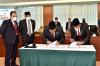 Sumut Susun Ranperda Integrasi Ternak Sapi dan Perkebunan Sawit (Dok.MNC Media)