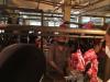Pasar Rakyat Diguyur Daging Sapi Impor India, Mendag: Biar Banyak yang Beli (Dok.MNC Media)