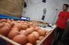 995 Ribu Paket Bantuan Pangan Telur dan Daging Ayam Sudah Disalurkan. (Foto MNC Media)