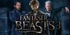 Terjun ke Posisi Tiga di Box Office, Pendapatan Film Fantastic Beasts Hanya Rp4 Triliun (FOTO:MNC Media)