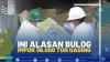 INI ALASAN BULOG IMPOR 36.000 TON DAGING(SUMBER:IDX CHANNEL)