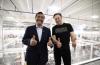 Luhut menyebut, jika investasi terealisasi, sebanyak 3 juta mobil Tesla bisa diproduksi di Indonesia setiap tahun.