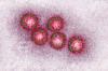 Enam Anak Meninggal Diduga Akibat Hepatitis Misterius